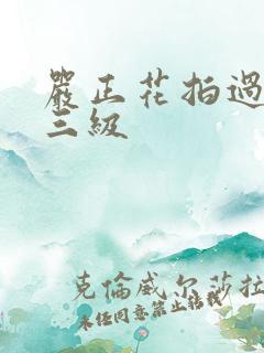 严正花拍过什么三级