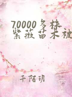 70000多株紫薇苗木被强毁