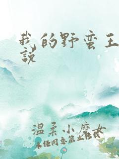 我的野蛮王妃小说