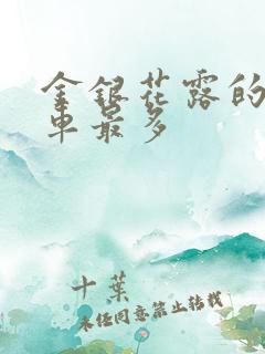 金银花露的哪个车最多