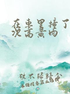 在车里撞了我八次高黄肉