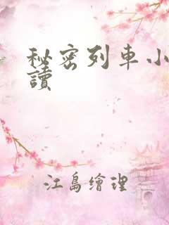 秘密列车小说阅读