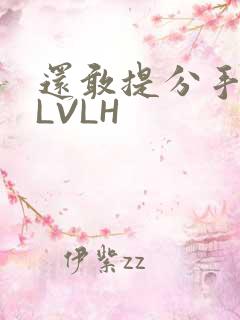 还敢提分手吗嗯LVLH