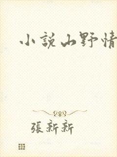 小说山野情债