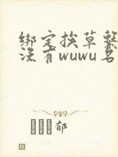 绑定挨草系统后没有wuwu名字