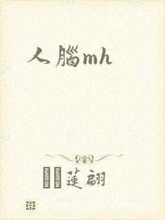 人脑mh