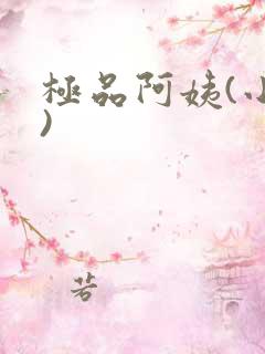 极品阿姨(小说)