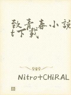 致青春小说txt下载