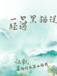 一只黑猫从眼前经过