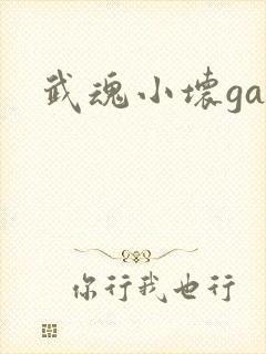 武魂小坏ga