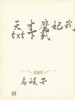 天才魔妃我要了txt下载