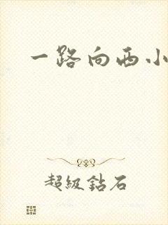 一路向西小说