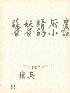 苏妖精厨房爹爹爸爸的小说