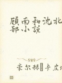 顾南和沈北是哪部小说