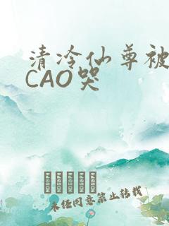 清冷仙尊被强制CAO哭