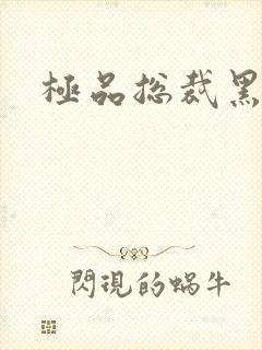 极品总裁黑道妻