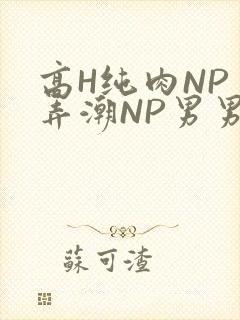 高H纯肉NP 弄潮NP男男