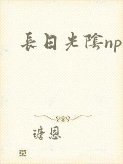 长日光阴np