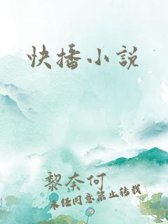 快播小说