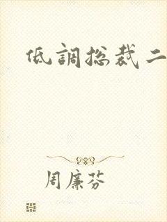 低调总裁二手妻