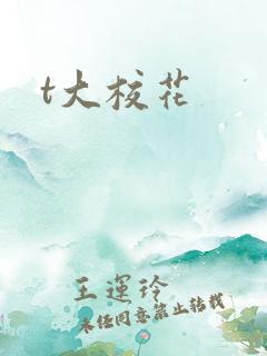t大校花