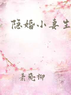 隐婚小妻生个娃