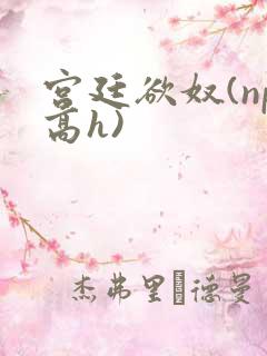 宫廷欲奴(np高h)