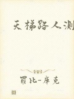 天梯路人测试器