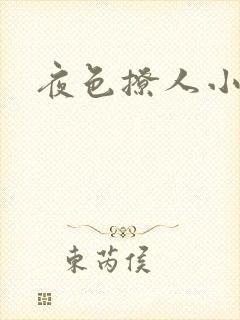 夜色撩人小说