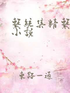 系统集精系统 小说