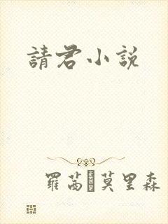 请君小说