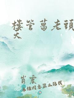 楼管葛老头的春天