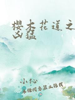 樱木花道之重生凶猛