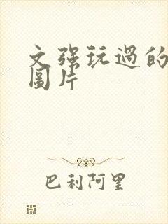 文强玩过的女人图片