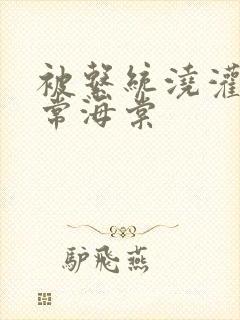 被系统浇灌的日常海棠