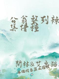 公翁系列辣文全集借种