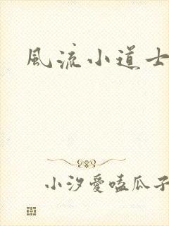 风流小道士
