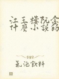 江玉楼阮念笙是什么小说的名字