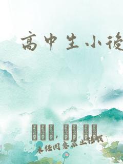 高中生小后妈