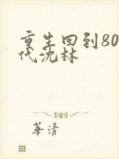 重生回到80年代沈林