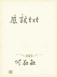 应该txt