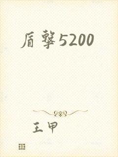 盾击5200