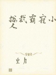 总裁霸宠小小女人