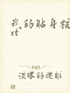 我的贴身校花txt