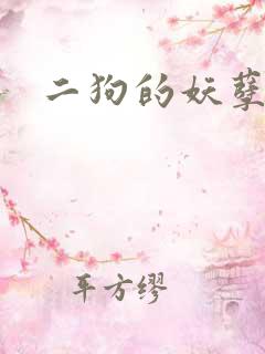 二狗的妖孽人生