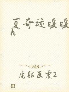 夏奇迹暖暖快穿h