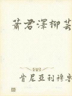 萧君泽柳芸小说