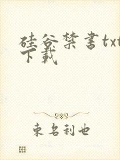 硅谷禁书txt下载