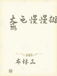 大龟慢慢挺进张燕