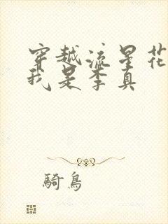 穿越流星花园之我是李真